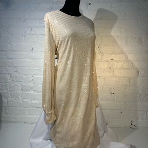 Long Sleeve Sequin Dress